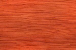 Padouk-Holz, leuchtend orangerot mit feiner Längsstreifung